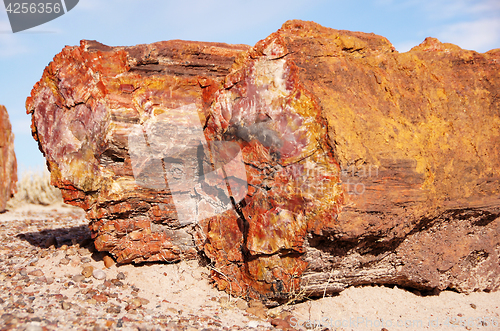 Image of Petrified-Forest-National-Park, Arizona, USA