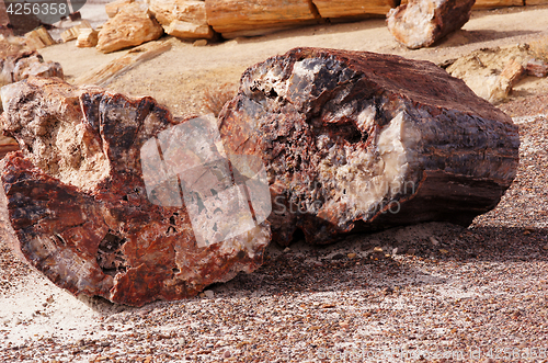 Image of Petrified-Forest-National-Park, Arizona, USA