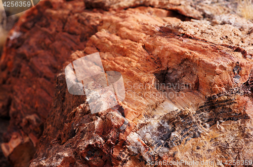 Image of Petrified-Forest-National-Park, Arizona, USA