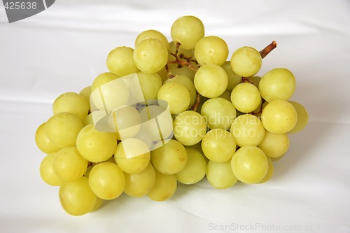 Image of Fresh grapes