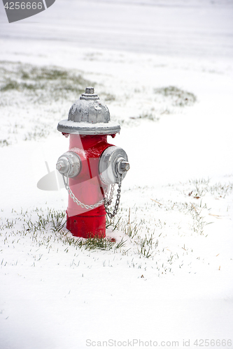 Image of Fire Hydrant