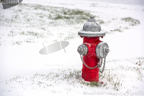 Image of Fire Hydrant