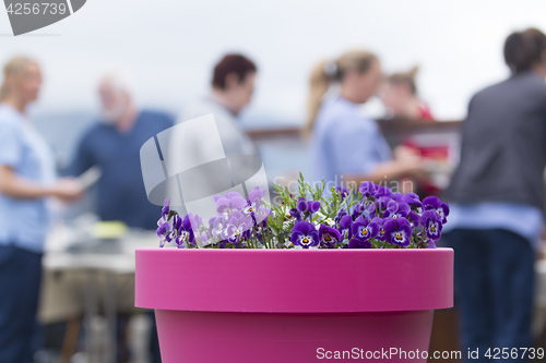 Image of Flower Pot