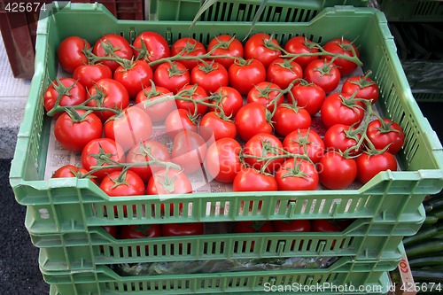 Image of Tomatoes in crates