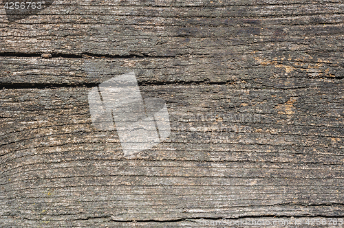 Image of Old aged wood planks, texture with natural pattern