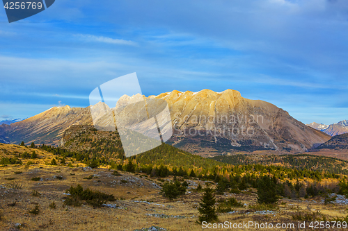 Image of Mountain Without Snow in Winter