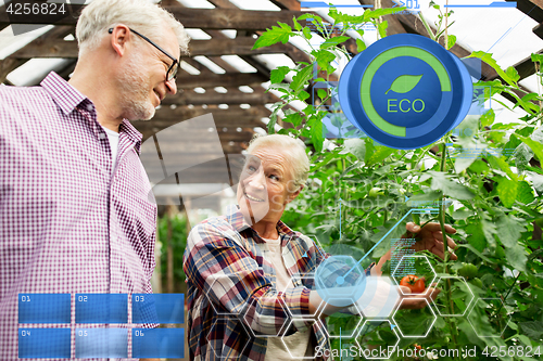 Image of happy senior couple at farm greenhouse