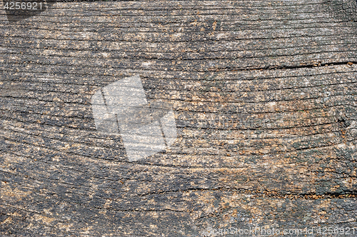 Image of Old aged wood planks, texture with natural pattern