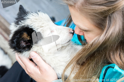 Image of Small Border Collie puppy in the arms of a woman