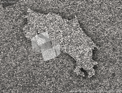 Image of Map of Costa Rica on poppy seeds