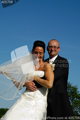 Image of Wedding bride and groom