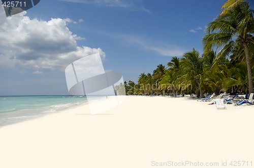 Image of Exotic beach