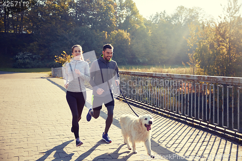 Image of happy couple with dog running outdoors