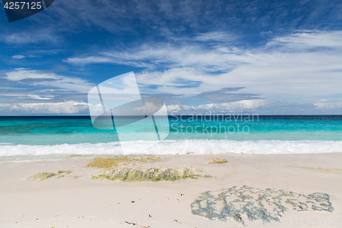 Image of beach in indian ocean on seychelles