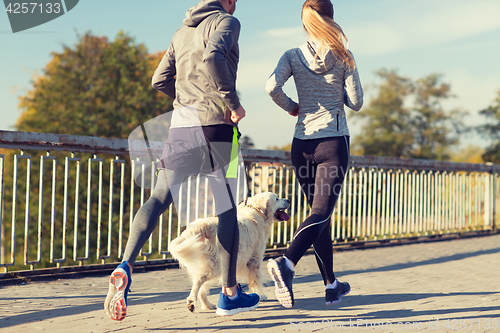 Image of close up of couple with dog running outdoors