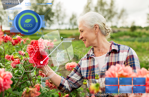 Image of senior woman with flowers at summer garden