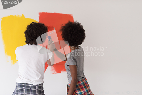 Image of multiethnic couple painting interior wall