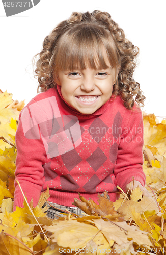 Image of Little girl with maple leaves