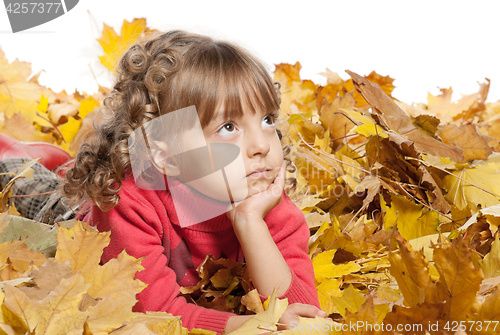 Image of Little girl with maple leaves