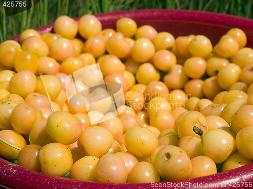 Image of Bucket of cherries