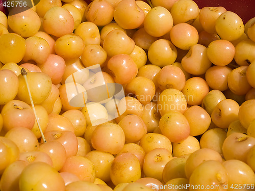 Image of Yellow cherries