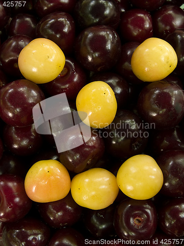 Image of Cherry smiley