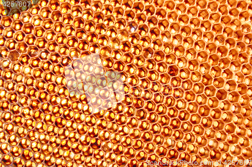 Image of bee wax texture