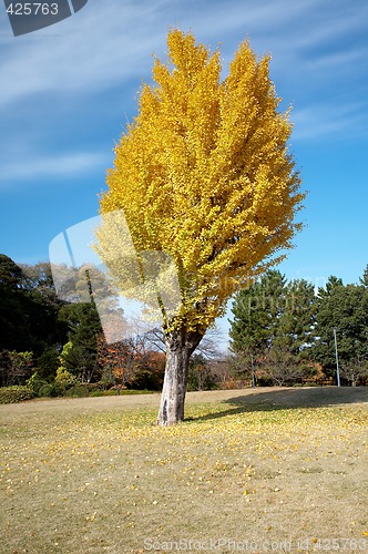 Image of oriental landscape