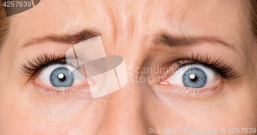 Image of Face woman with eyes and eyelashes