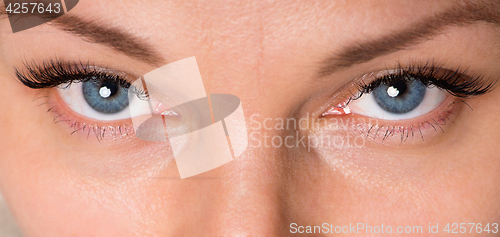 Image of Face woman with eyes and eyelashes