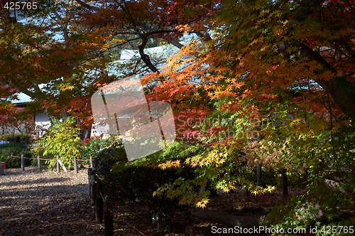 Image of japanese tea house