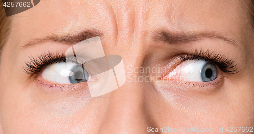 Image of Face woman with eyes and eyelashes