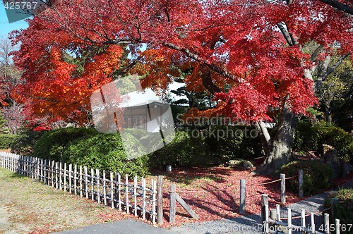 Image of japanese tea house