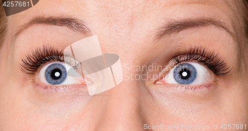 Image of Face woman with eyes and eyelashes