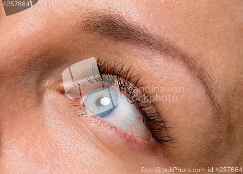 Image of Face woman with eyes and eyelashes