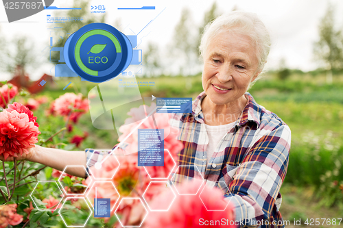 Image of senior woman with flowers at summer garden