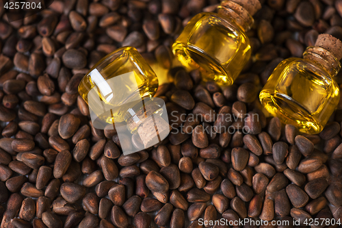 Image of Oil of cedar nuts