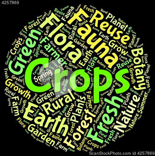 Image of Crops Word Shows Harvests Grains And Grain