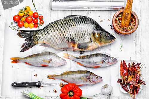 Image of Raw fish on parchment