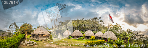 Image of Row of straw houses