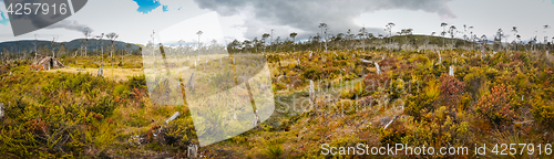 Image of Panorama of field