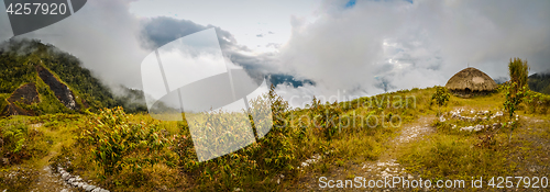 Image of House on top