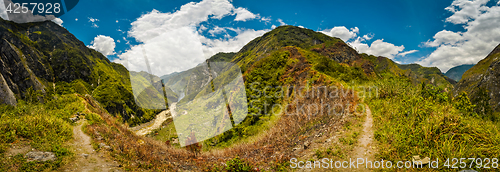 Image of Mountains with rich flora