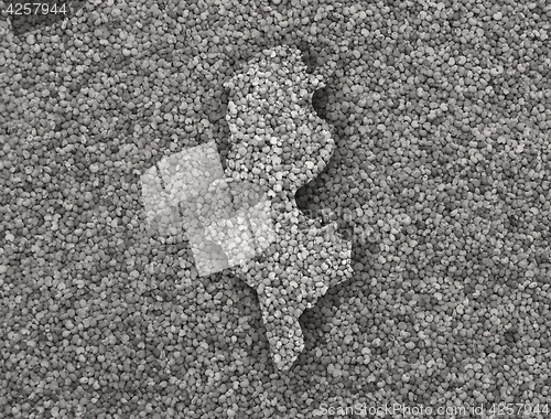 Image of Map of Tunisia on poppy seeds
