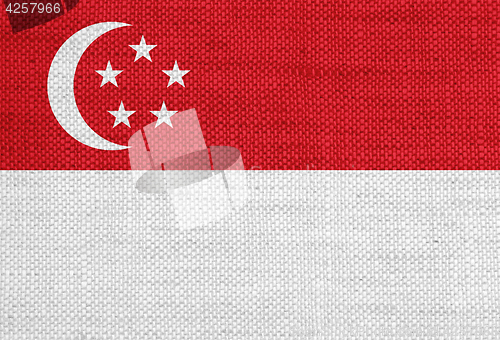 Image of Textured flag of Singapore in nice colors