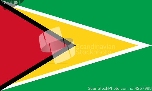 Image of Colored flag of Guyana