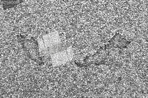 Image of Map of Malaysia on poppy seeds