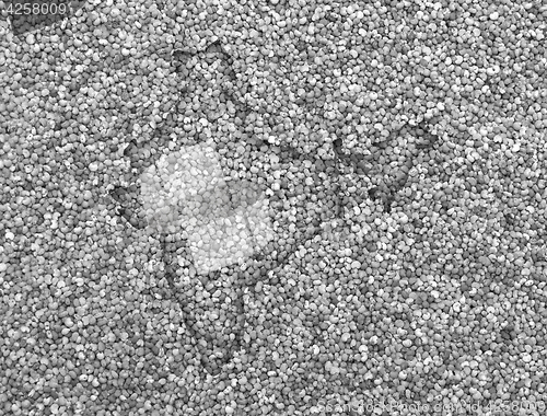 Image of Map of India on poppy seeds