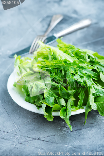 Image of rucola