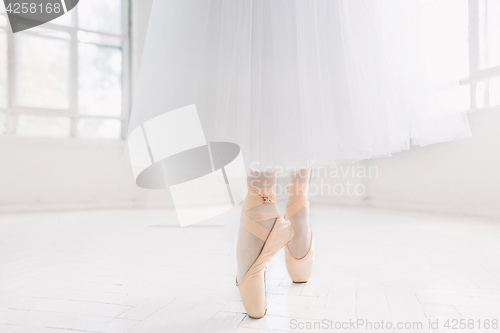 Image of Young ballerina, closeup on legs and shoes, standing in pointe position.